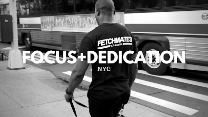 Fetchmates – Dog Walker in the Financial District
