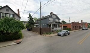 Tangled Dog Walking Columbus