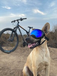 K9MISH