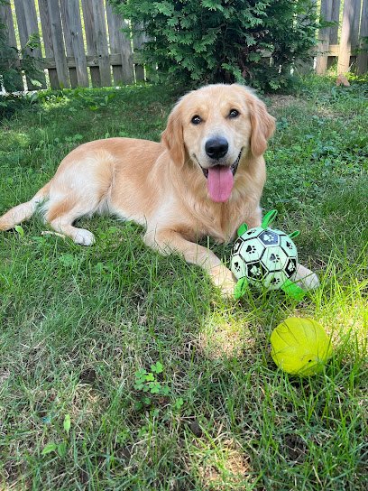 Golden Leash Pet Care LLC Lower Montgomery County