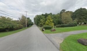 Chester Springs Pet Sitting and Walking