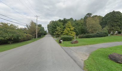 Chester Springs Pet Sitting and Walking