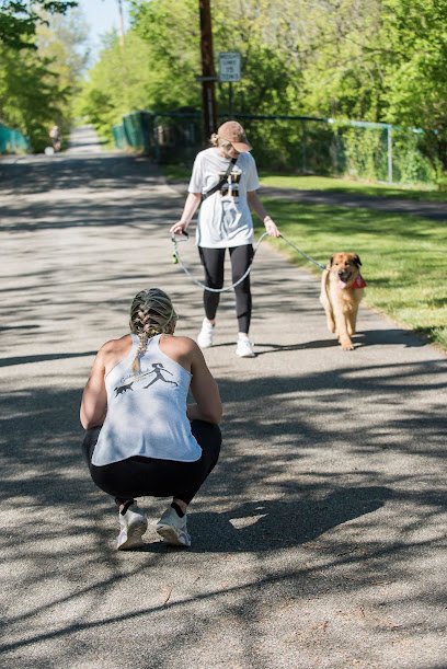 Golden Leash Pet Care LLC Chester County