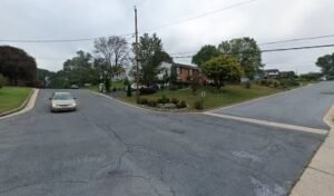 Ashliesdogwalkingservices