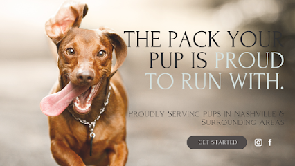 Playful Paws Pet Care Service