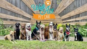 Walk! ATX Pet Care