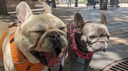 WOOF Pet Care Services