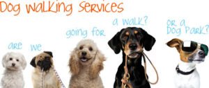 Sweeties Dog Walker