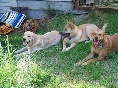 CraZy MisFitS Pet Services