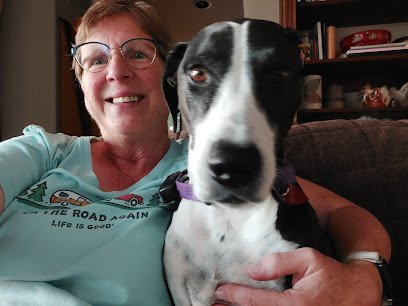 Edmonds Dog Lady – Board, Sit, Walk, Daycare