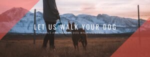 Tails and Trails