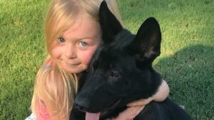 CC Canine Academy & Boarding, LLC