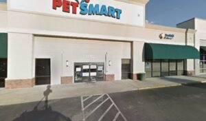 PetSmart Dog Training
