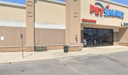 PetSmart Dog Training