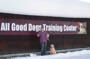 All Good Dogs Training Center