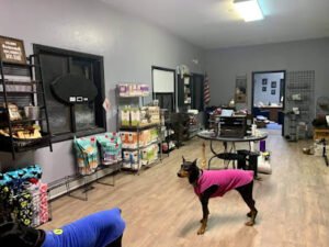 Alaska K9 Center