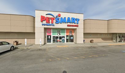 PetSmart Dog Training