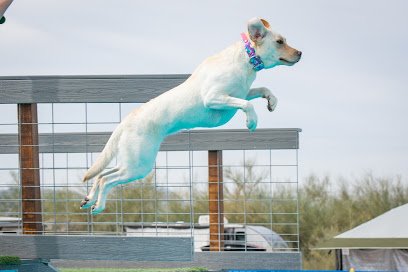 Tonopaws K-9 Swim Center & Dock Diving Facility, LLC