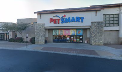 PetSmart Dog Training