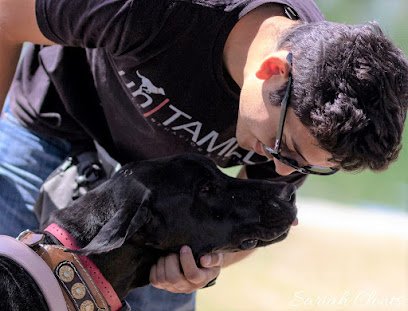 unTAMED Dog Co.