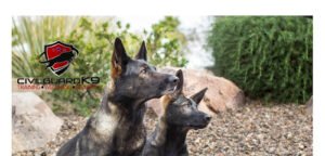 Civil Guard K9 LLC