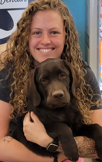 WizeDogs Labradors & Pawsitive Dog Training Arizona