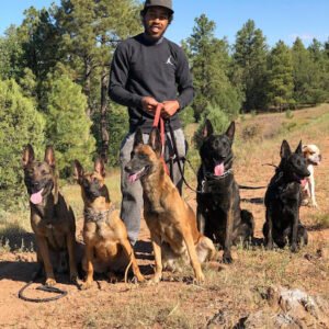 Protection K9’s Worldwide