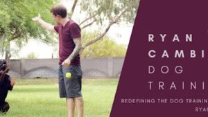 Ryan Cambio Dog Training