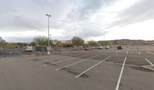PetSmart Dog Training