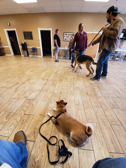 American Service Animal Society