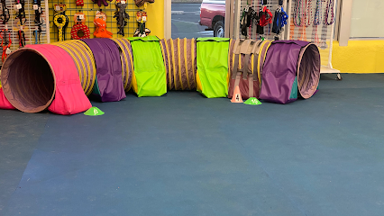 Journey Agility Dog Training & Behavior