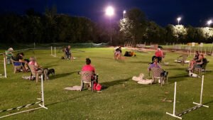 MLF Dog Sports