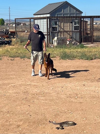 Armor K9