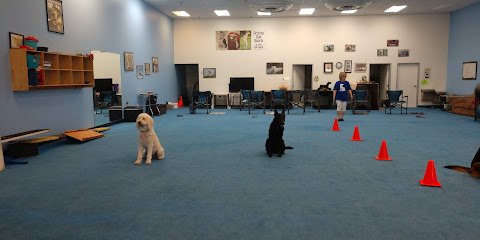 AZ Dog Sports