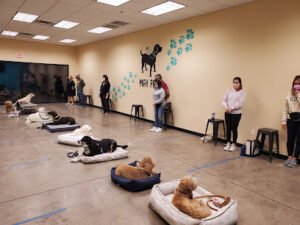 Mak Pack Dog Training & Boarding