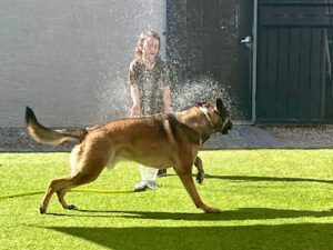 Pat’s K9 Training, LLC