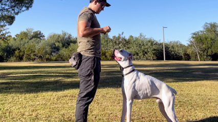 Instinct Canine Holistic Behavioral Training