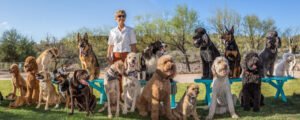 Animal Actors of Arizona