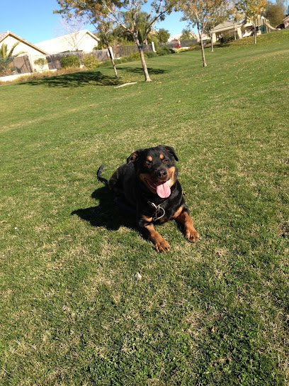 PHOENIX DOG TRAINING AND BEHAVIOR CENTER
