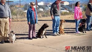 Sit Means Sit Southern Arizona