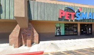 PetSmart Dog Training