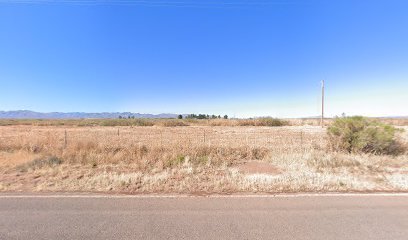 Zauberberg Canine Academy