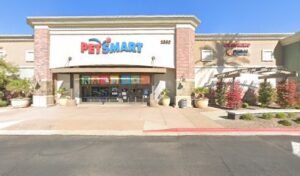 PetSmart Dog Training