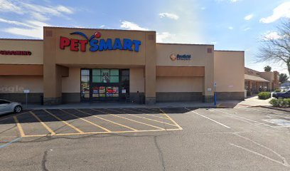 PetSmart Dog Training
