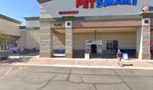 PetSmart Dog Training