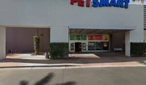 PetSmart Dog Training