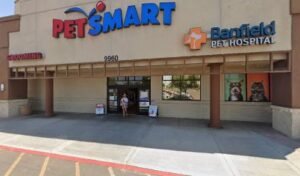 PetSmart Dog Training