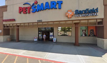 PetSmart Dog Training