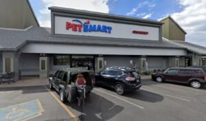 PetSmart Dog Training