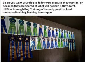 Jill Scarborough Dog Training